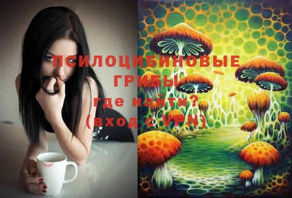 мяу мяу мука Баксан