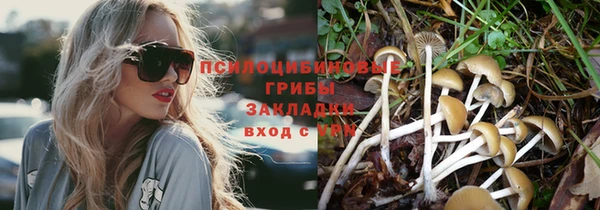MESCALINE Аркадак
